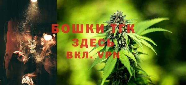 гашик Ладушкин