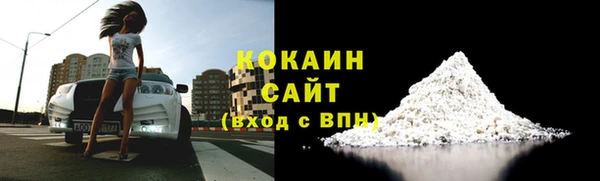 гашик Ладушкин