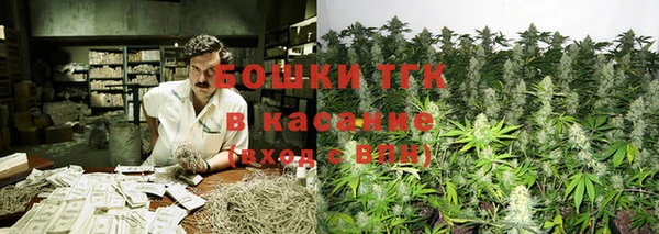 ПСИЛОЦИБИНОВЫЕ ГРИБЫ Лихославль