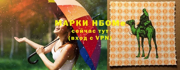 ПСИЛОЦИБИНОВЫЕ ГРИБЫ Лихославль