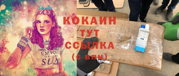 гашик Ладушкин