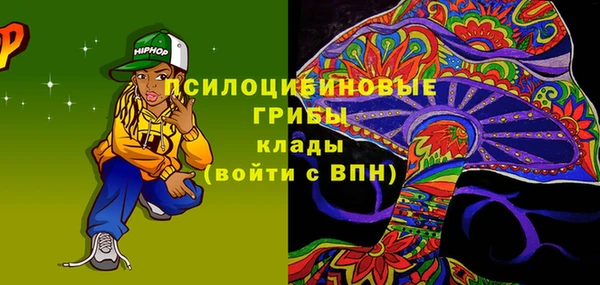 ПСИЛОЦИБИНОВЫЕ ГРИБЫ Лихославль