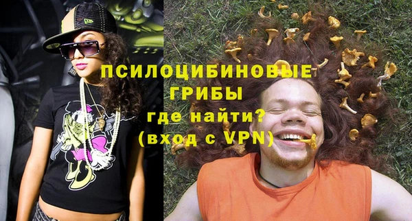 гашик Ладушкин