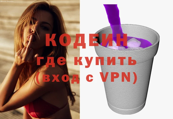 гашик Ладушкин