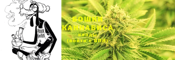 гашик Ладушкин